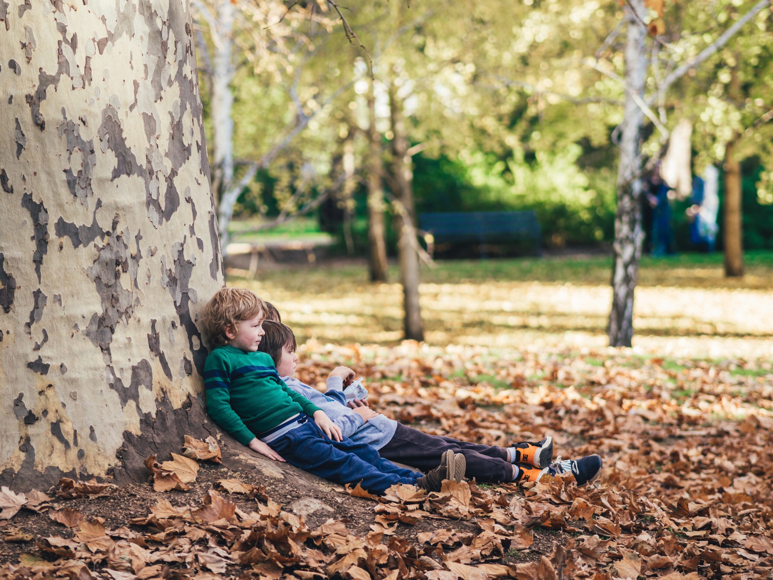 two children sit under a tree surrounded by fallen leaves thinking about the new school year